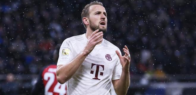 他们明显加 他们明显加